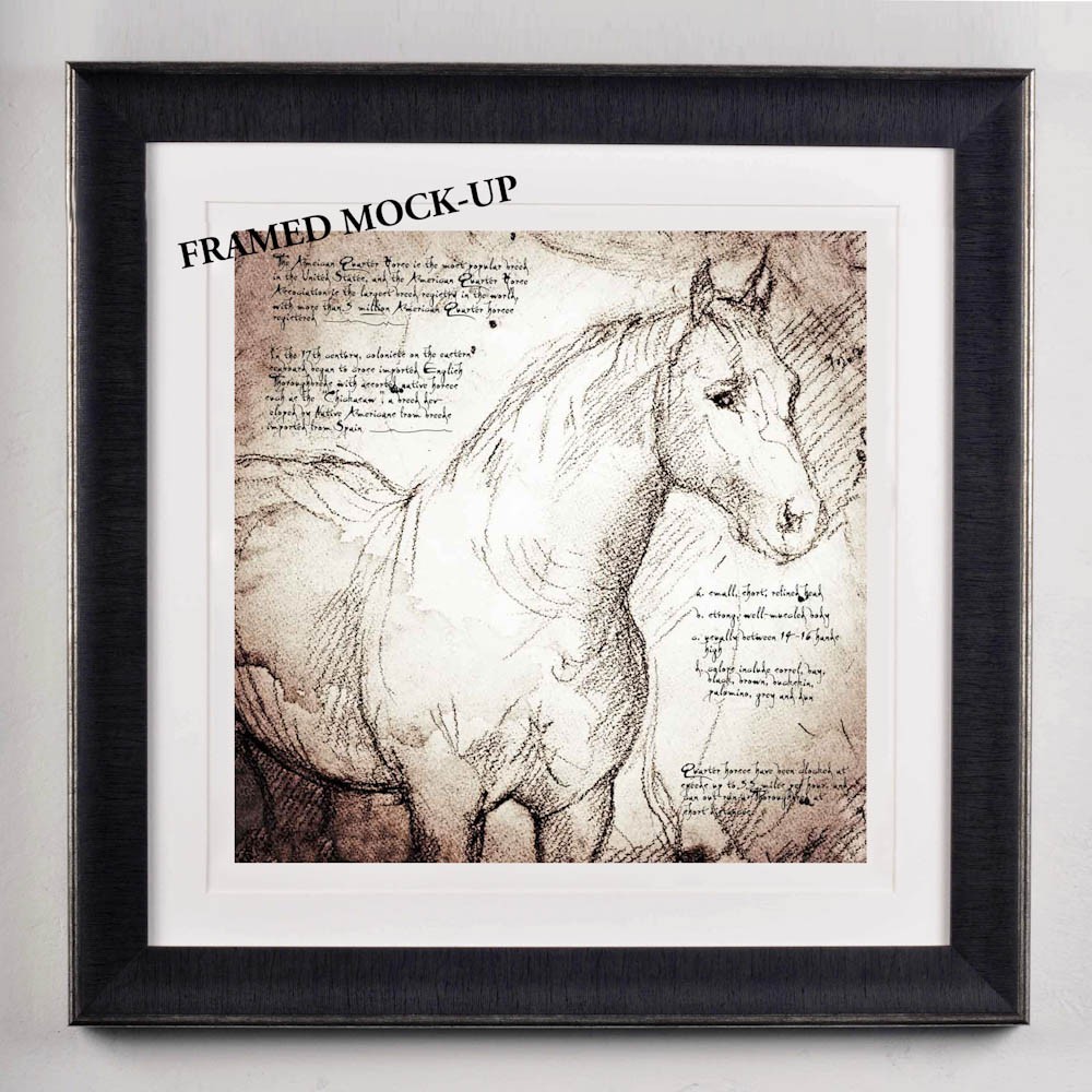 1000x1000 Quarter Horse Detail Detail Of A Da Vinci Style Drawing