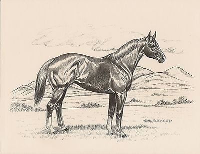 400x309 Love Of Horses Collection On Ebay!