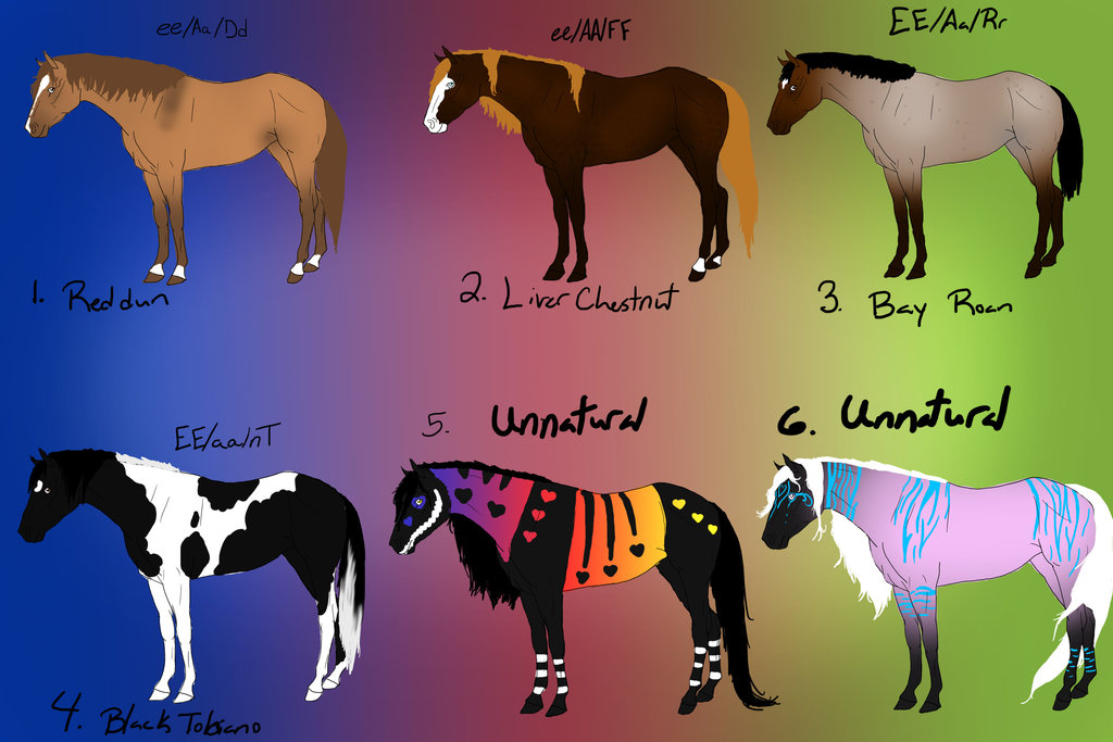 1024x683 March Quarter Horse Adoptables Closed By Naomithewolf