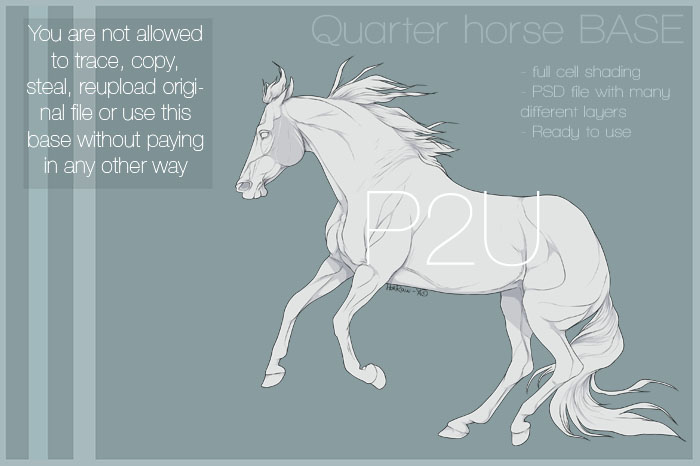 700x466 Quarter Horse Base 02 By Horraw X