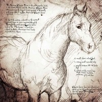 200x200 Quarter Horse Detail Detail Of A Da Vinci Style Drawing