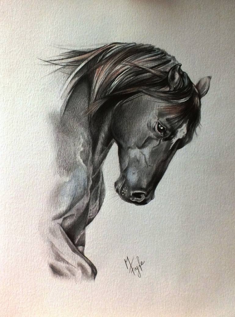 Quarter Horse Drawing at GetDrawings | Free download