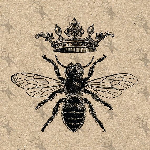 Queen Bee Drawing at GetDrawings | Free download