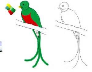 300x235 How Draw Quetzal Pictures For The Birds
