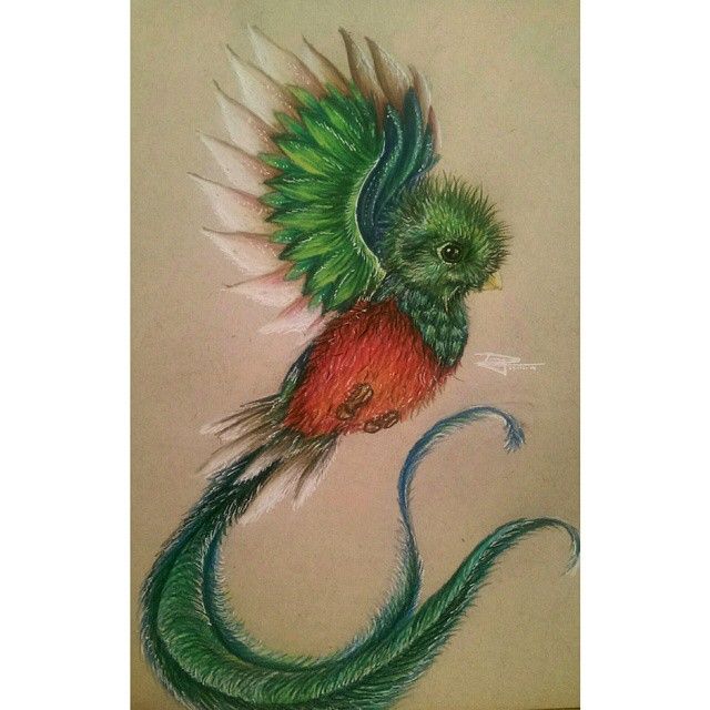 640x640 Quetzal