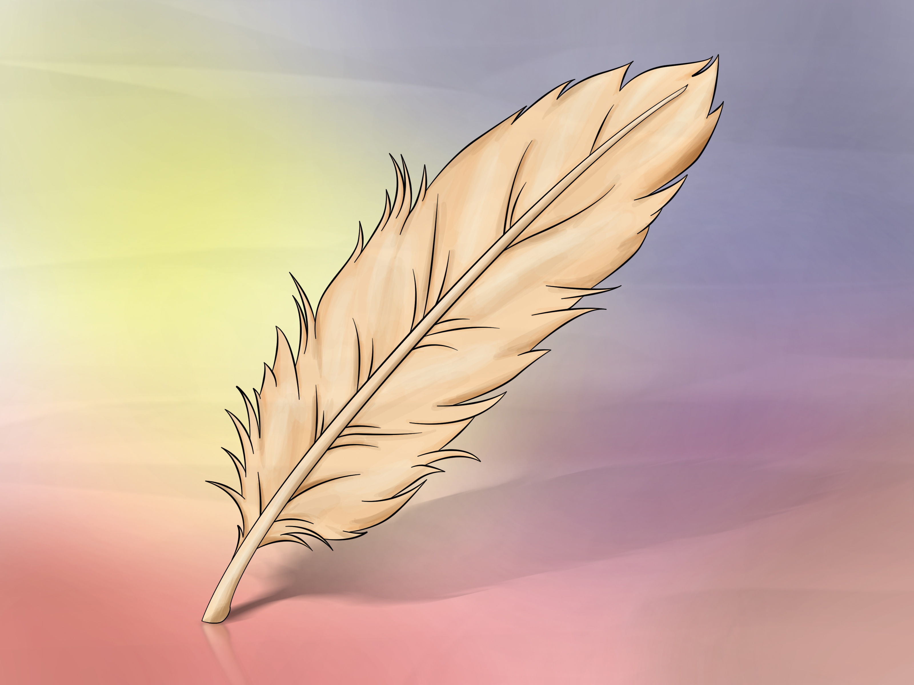 3200x2400 How To Draw A Feather 8 Steps (With Pictures)