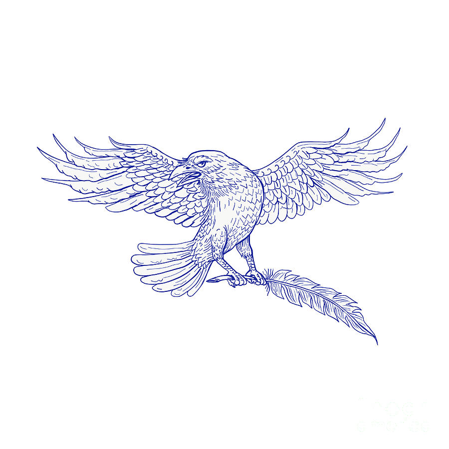 900x900 Raven Carrying Quill Drawing Digital Art By Aloysius Patrimonio