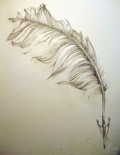 236x304 Arrow Quill Drawing