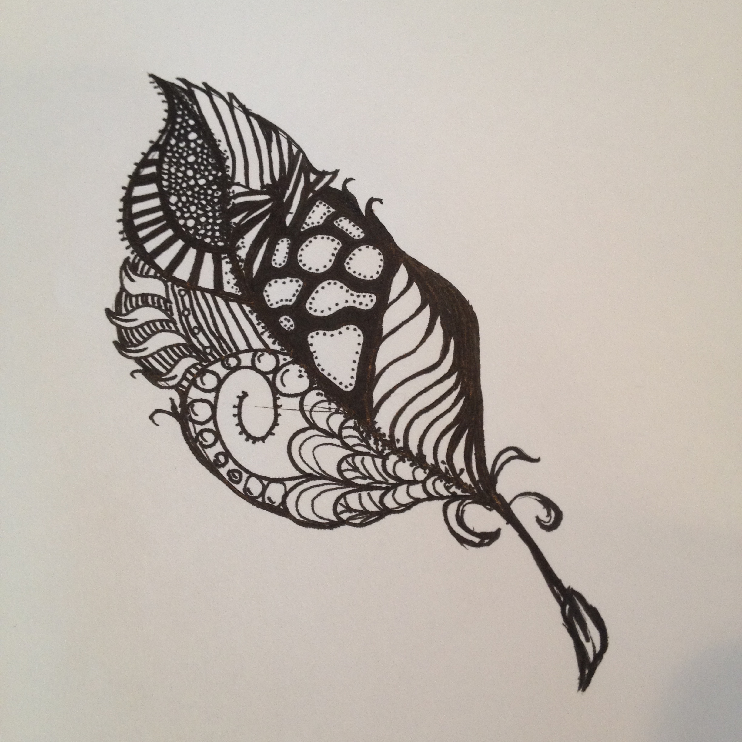 2448x2448 Quill Pen Drawing Coffee Beans Amp Sparkles