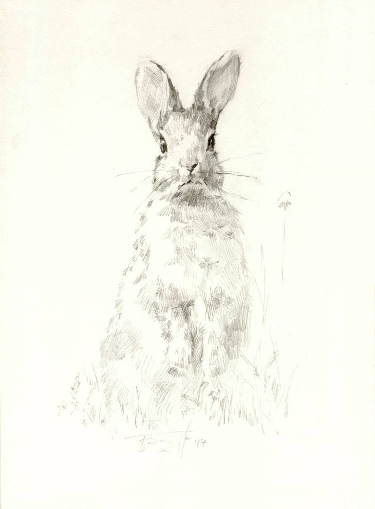 770x1045 Saatchi Art Rabbit Drawing By Vera Bondare