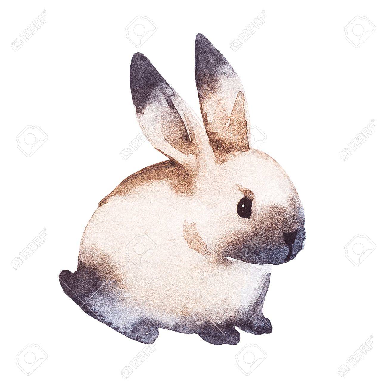1289x1300 Cute Brown Rabbit. Watercolor Hand Drawing Illustration Stock