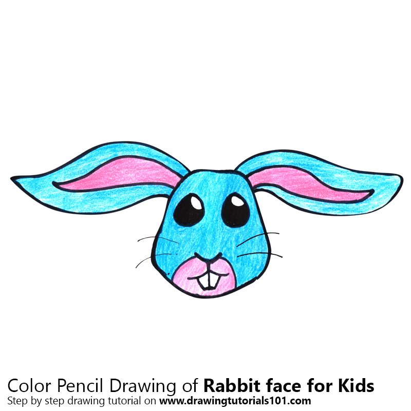 800x800 Learn How To Draw A Rabbit Face For Kids (Animal Faces For Kids