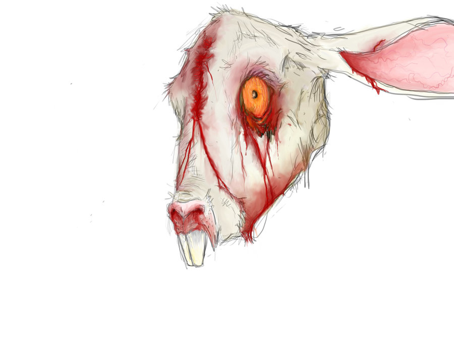 900x720 Bloody Rabbit Head. By Yipp0