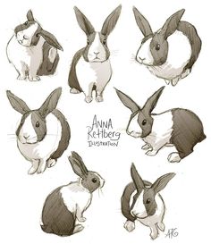 236x273 Bunny Drawings
