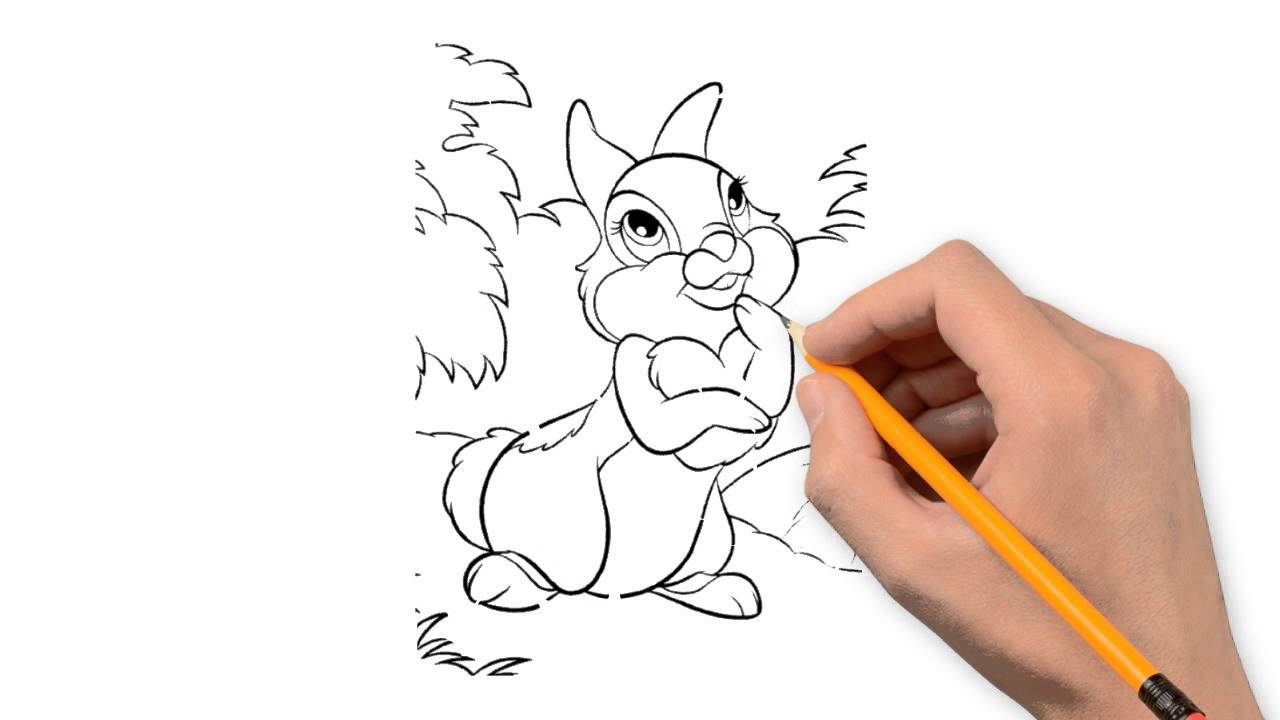 1280x720 Rabbit Animals Pencil To Draw Step By Step