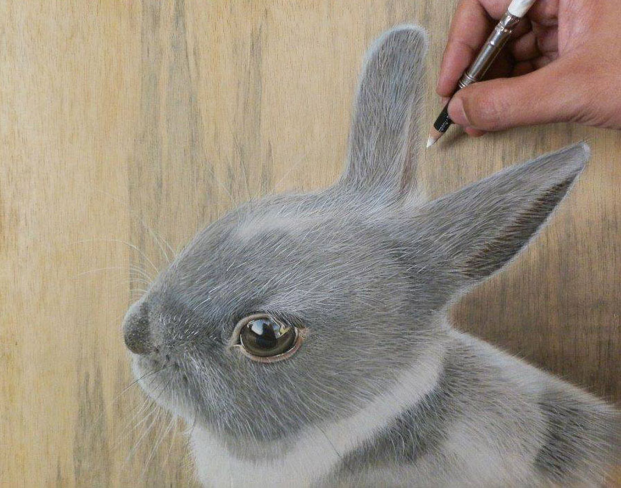 894x703 Rabbit Pencil Drawing By Ivan Image