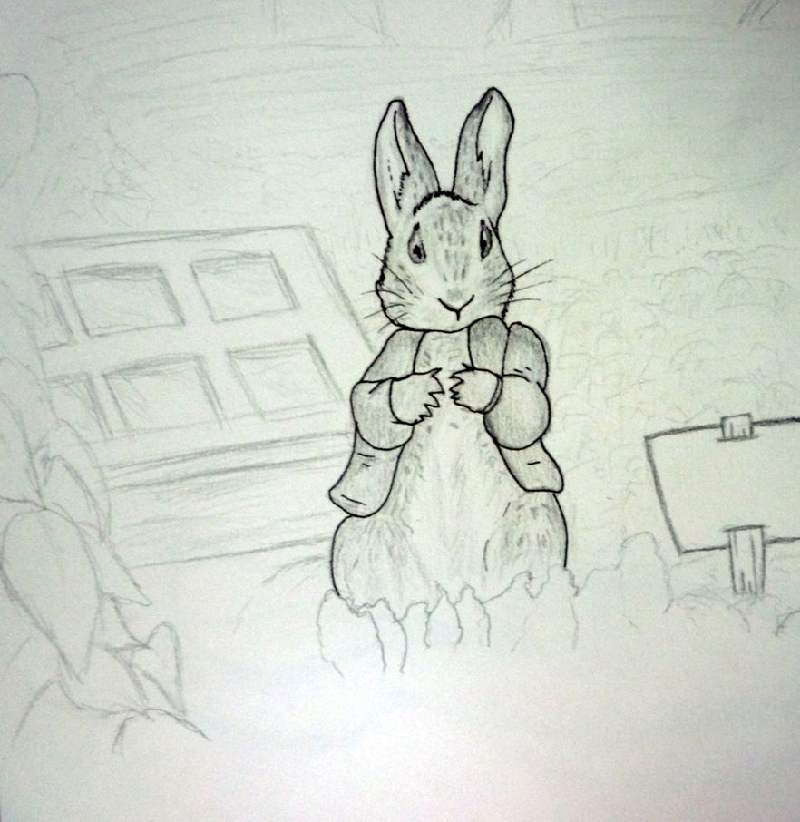 882x906 Peter Rabbit Sketch By Chrisgotjar