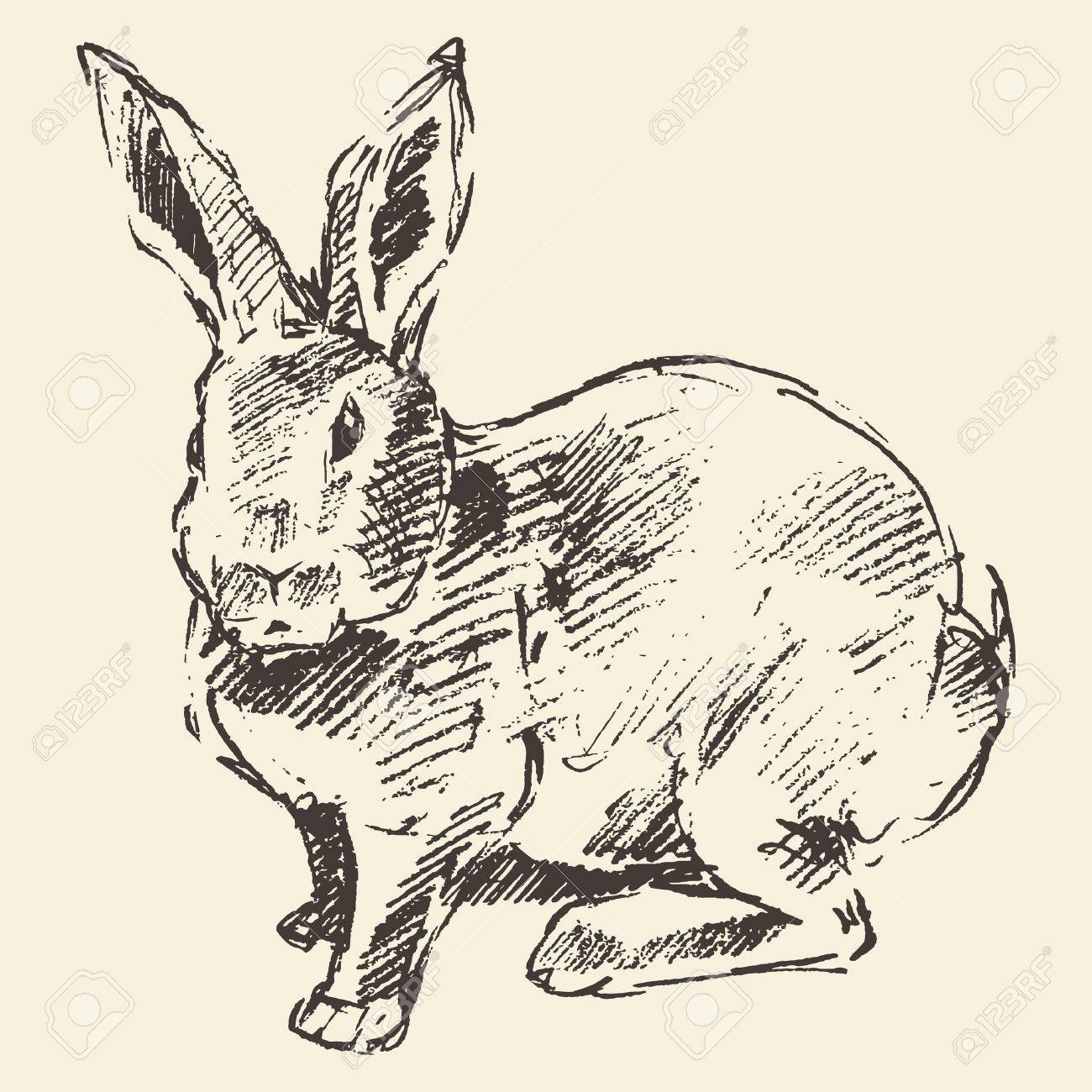 1300x1300 Rabbit, Engraving Style Vintage Illustration Hand Drawn Sketch
