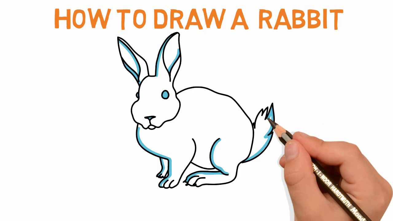 1280x720 Rabbit How To Draw A Rabbit Sketch Drawing Video Demo Latest