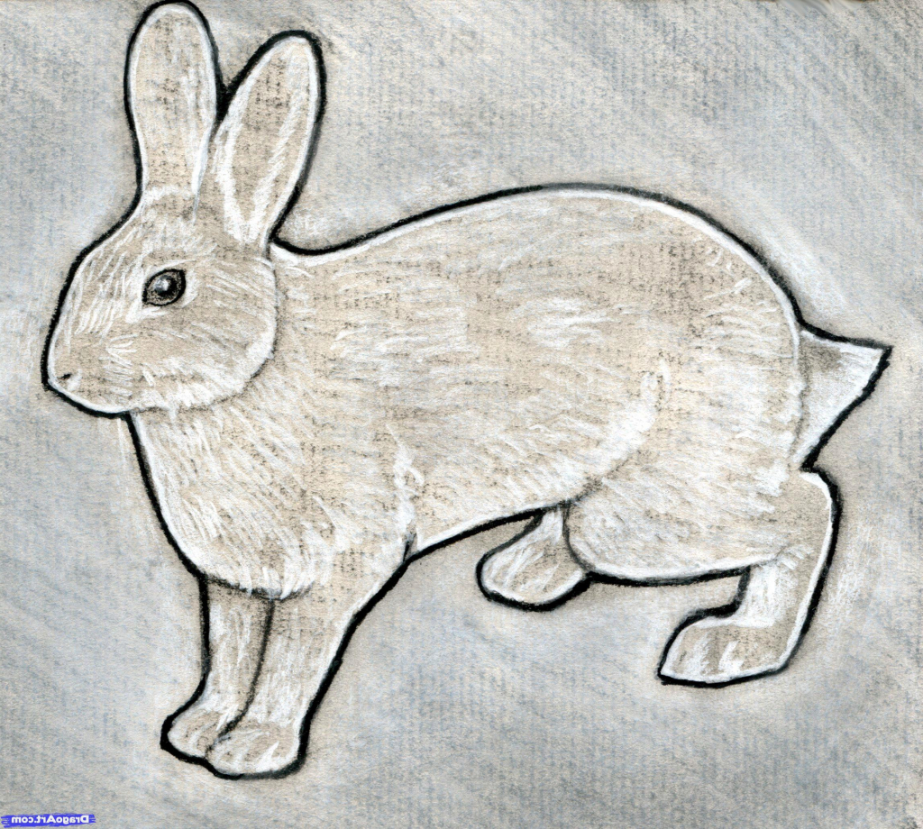 1024x920 Rabbit Sketch In Pencil Rabbit Pencil Drawing How To Sketch