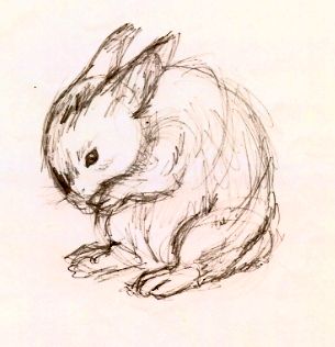 305x316 Rabbit Sketch By ~emmary On The Hare's Tale