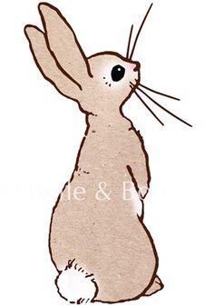 236x337 Pix For Gt Baby Rabbits Drawings