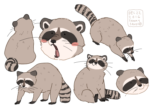 540x383 Hamotzi Smol Critters Animal, Drawings And Raccoons