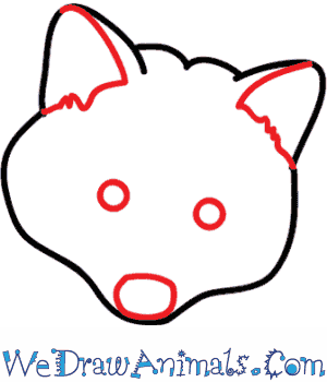 300x350 How To Draw A Raccoon Dog