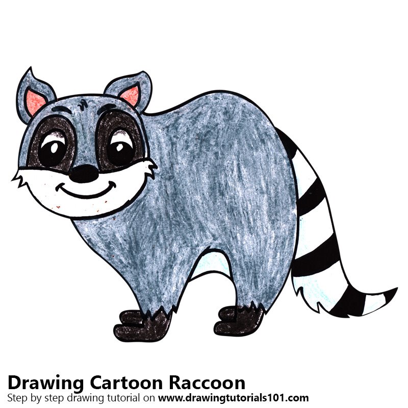 800x800 Learn How To Draw A Cartoon Raccoon (Cartoon Animals) Step By Step