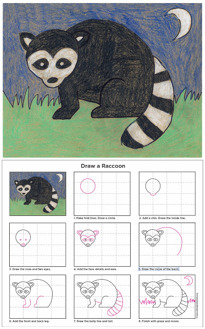 Raccoon Drawing Step By Step at GetDrawings | Free download