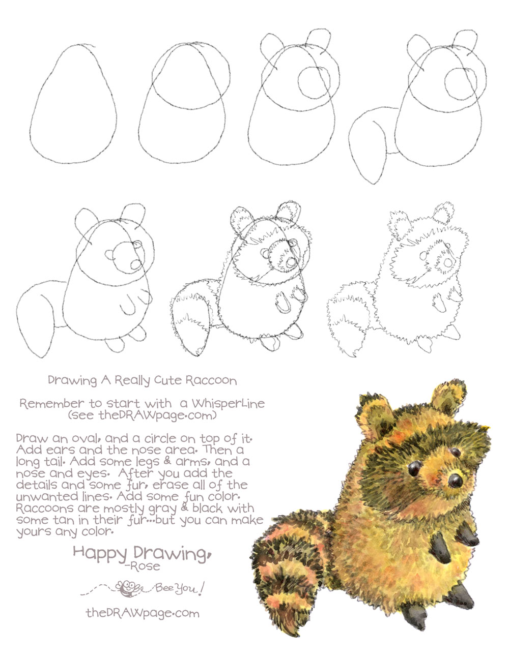 1000x1294 Drawing A Raccoon