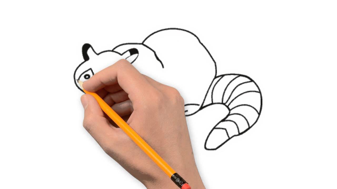1280x720 Raccoon Animals Pencil To Draw Step By Step