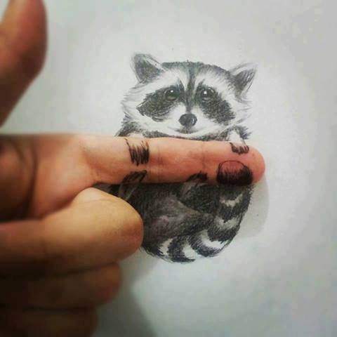 480x480 Funny 3d Raccoon Illusion Drawing Image