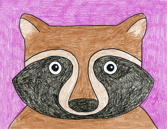 650x502 Raccoon Face