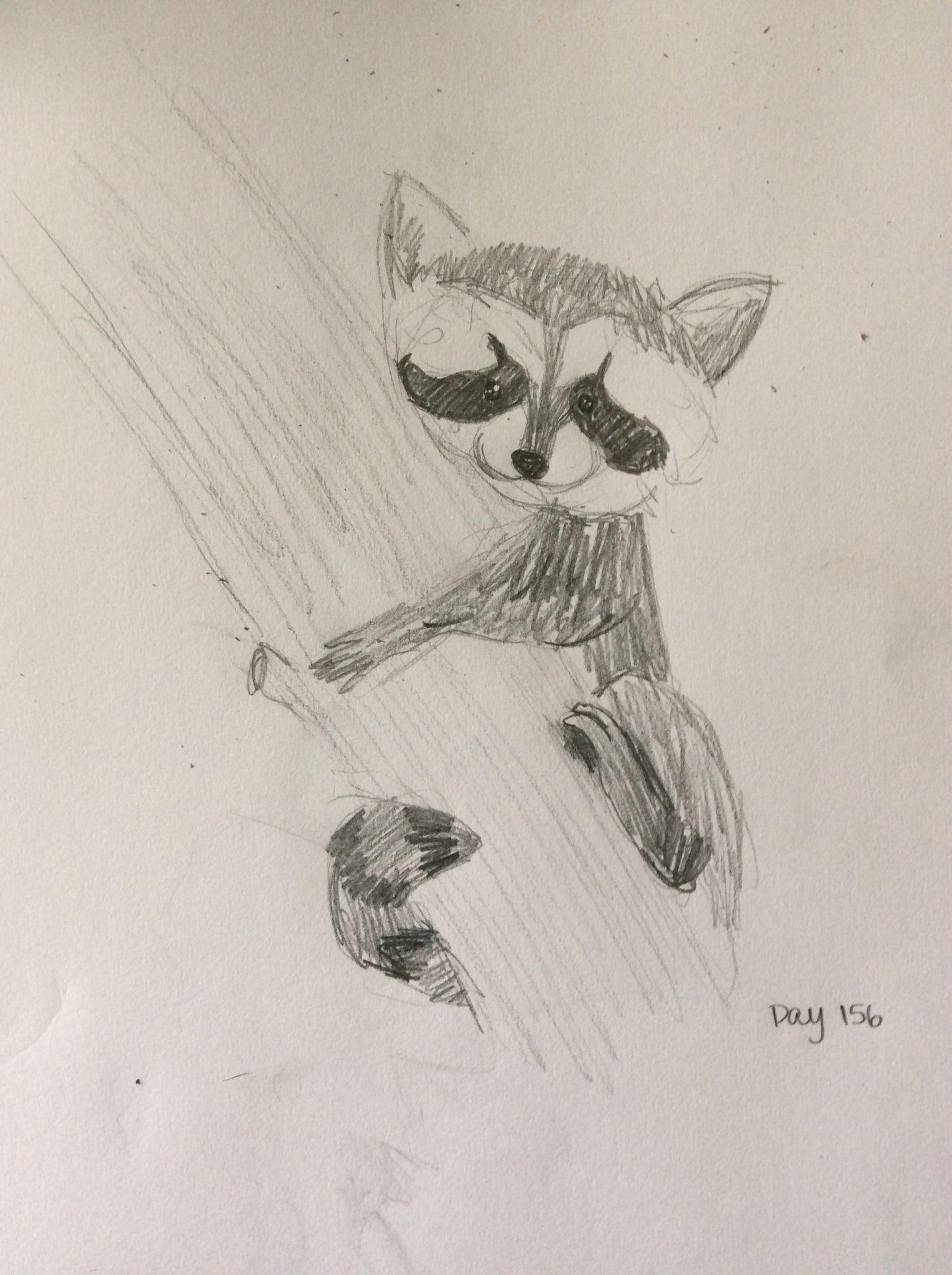 1530x2048 Pencil Drawing Of A Cute Baby Raccoon