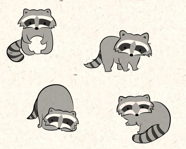 600x482 1006 Best Raccoons And Foxes Images On Fox, Animais