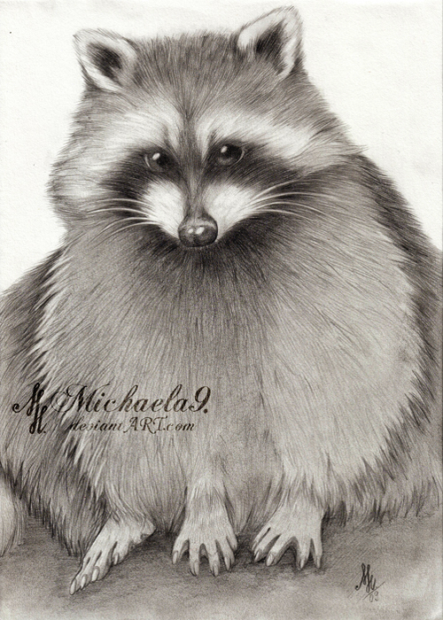 500x700 Racoon By Michaela9 Raccoons Drawings And Paintings Of Raccoons