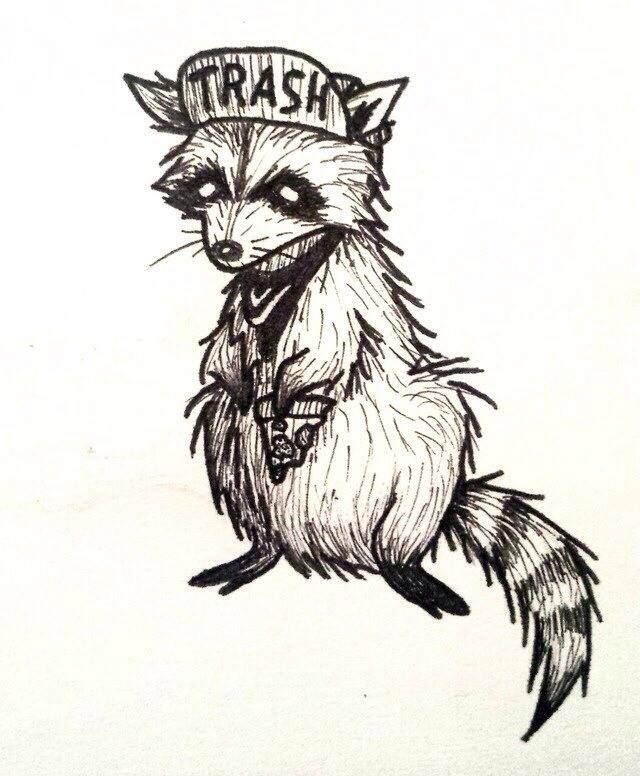 640x776 Trash Raccoon Art Raccoons And Illustrations