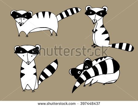 450x350 Raccoons. Line Art. Black And White Drawing By Hand. Tattoo