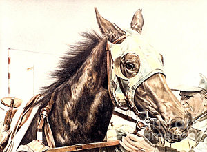 300x220 Race Horse Drawings