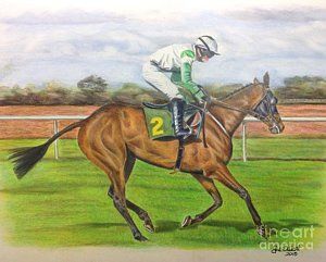 300x241 Race Horse Drawing