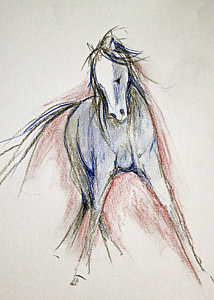 214x300 Racehorse Drawings