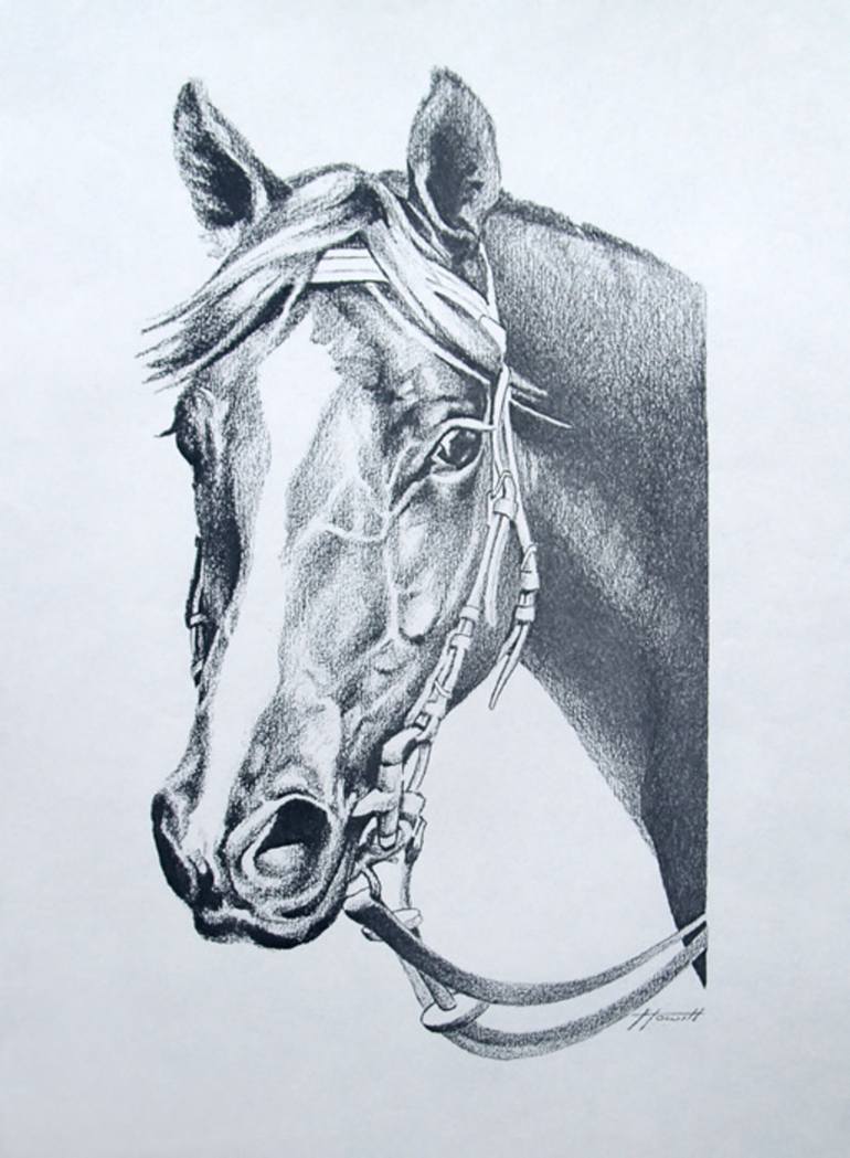 770x1049 Saatchi Art Vain (Aust) Racehorse Stallion Drawing By Patricia Howitt
