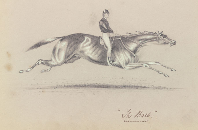 685x452 Spirited Australia's Horse Story