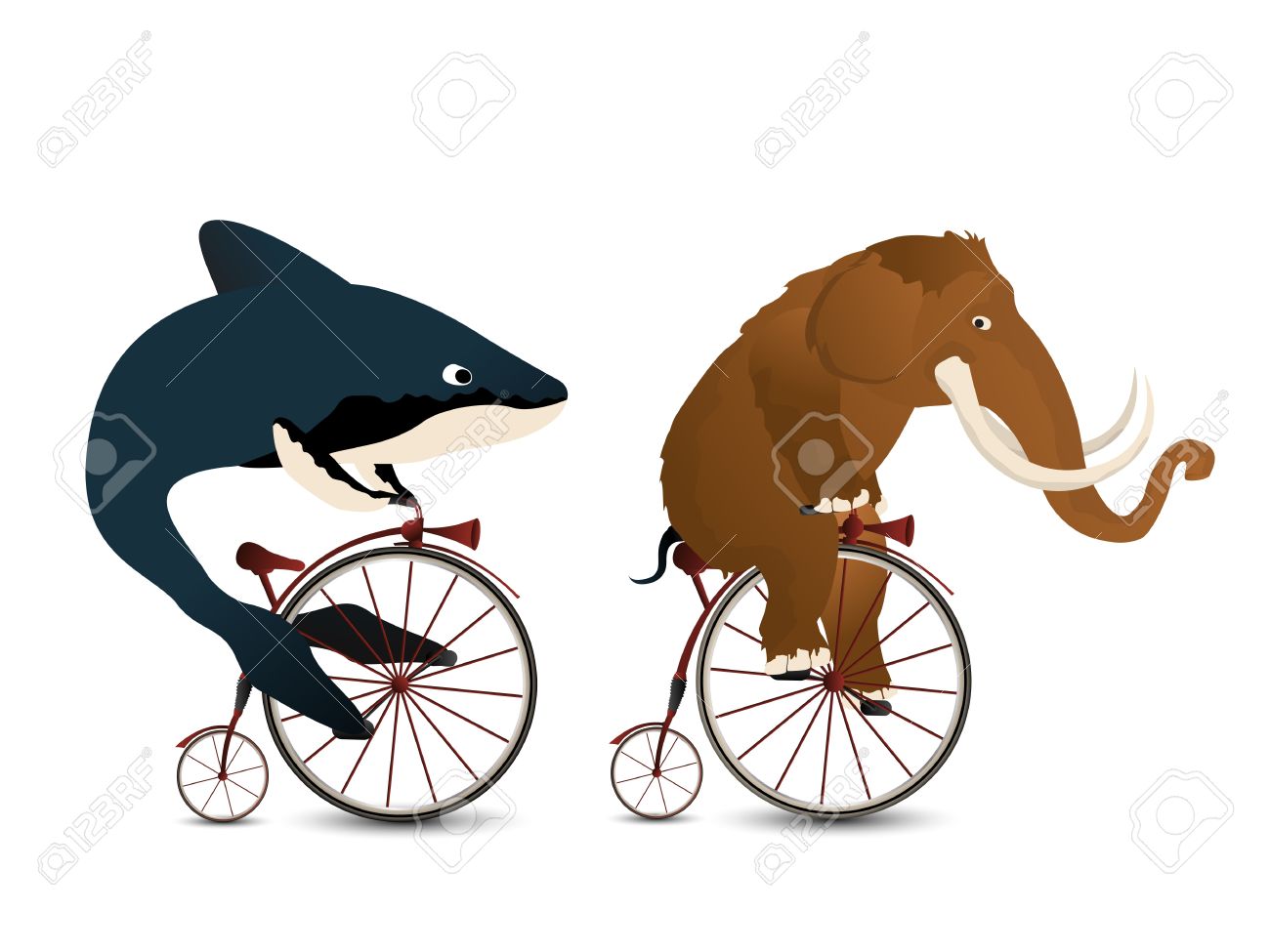 1300x975 Cartoon Style Drawing Of A Mammoth And A Whale Racing On Bicycles