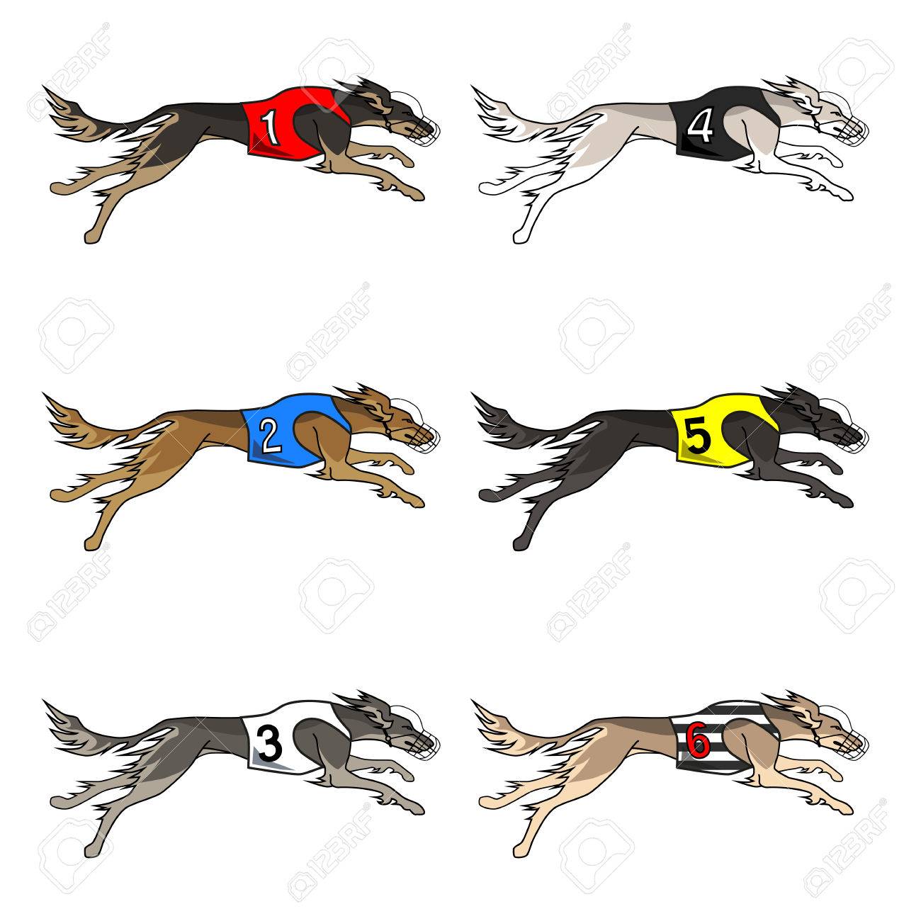 1300x1300 Vector Set Of Running Dog Saluki Breed, In Dog Racing Or Coursing