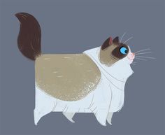 236x193 05 Of Suggested Cats