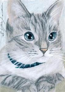 212x300 Aceo Original Pastel Drawing Blue Eyed Tabby Cat Ragdoll Cat By