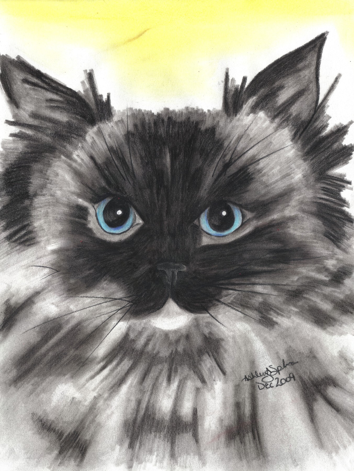 Ragdoll Drawing at GetDrawings | Free download