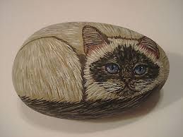 259x194 Image Result For Ragdoll Cat Drawing Cats Cat